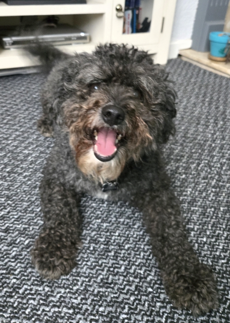 Employee of the Month